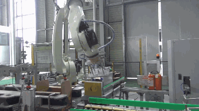 自動(dòng)裝箱碼垛生產(chǎn)線